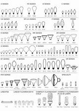 Images of Light Bulbs Different Types