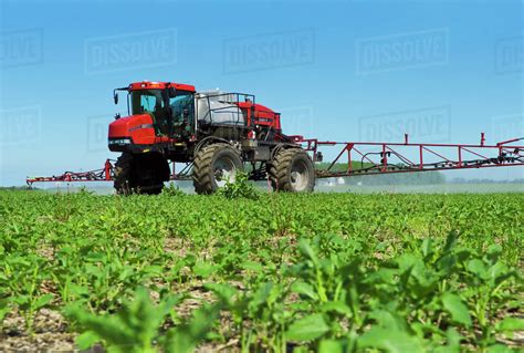 agriculture  high clearance case ih sprayer applies herbicide   crop  early growth