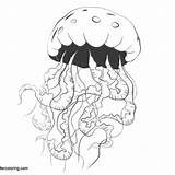 Jellyfish Eyes sketch template