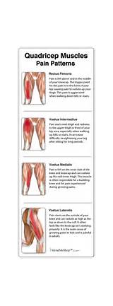 Quad Muscle Injury