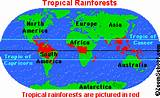 Tropical Forest Longitude Images