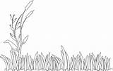 Pastos Clker Cattails Haz Pasto Pintar Tarjeta Tus Pngkey sketch template