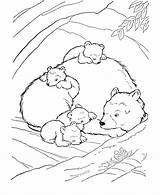 Coloring Bear Pages Animals Sleeping Hibernating Little Kids Animal Big Tundra Wild Den Brown Drawing Woods Color House Printable Smokey sketch template