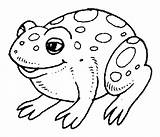 Toad Coloring Pages Printable Animals Color Fire Belly Frog Sheet Animal Animalstown Search Kids Google 450px 39kb Colorear Para Colorir sketch template