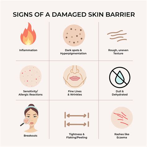 skin barrier protects   external threats