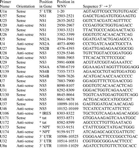 list of sequencing primers used download table