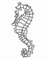 Seahorse Coloring Seaweed Pages Drawing Outline Template Easy Realistic Line Templates Colouring Sea Horse Print Crafts Shape Drawings Printable Kelp sketch template