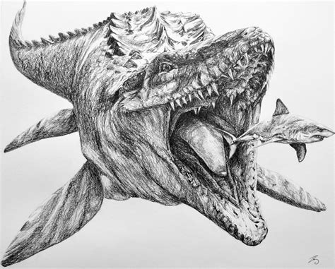 mosasaurus  cm pencil   commission dieren tekenen