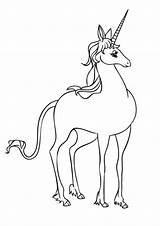 Einhorn Unicorni Stampare Scribblefun Malvorlagen Fliegendes Letzte sketch template