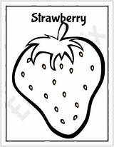 Strawberry Printable Coloring Tracing Worksheets Worksheet Pages Englishbix Words sketch template
