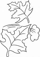 Coloring Pages Leaf sketch template