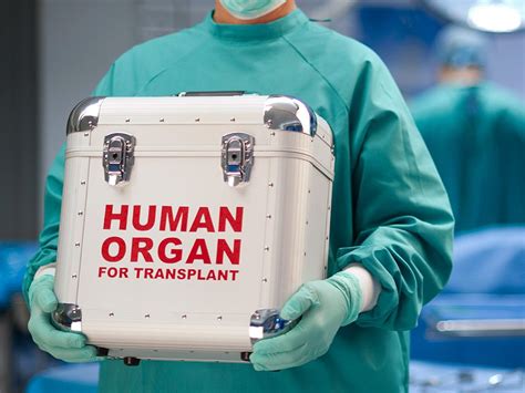 2018 organ transplantation market drivers and segmentation forecasts by key types products and