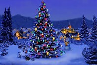 Image result for christmas tree