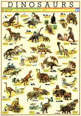 Different Types Dinosaurs