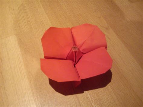 origami poppy declan webb