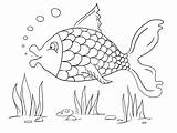 Coloring Fish Pages Colouring Color Kids Drawing Sheets Detailed Summer A4 Animal Sheet Printable Paper Animals Zoo Print Activity Via sketch template