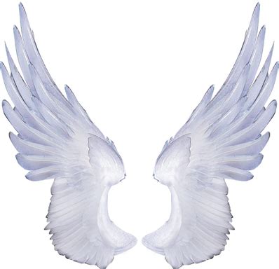 pngs wing png images