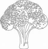 Broccoli Bestcoloringpagesforkids Popular Brocolli sketch template