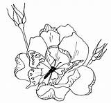 Coloring Pages Crayola Printable Library Clipart Flowers sketch template