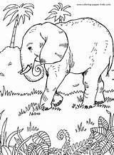 Coloring Pages Elephant Animal Color Printable Kids Sheets Jungle Elephants Found sketch template
