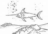 Malvorlagen Schwertfisch Ausmalbilder Fische Seite Captain sketch template