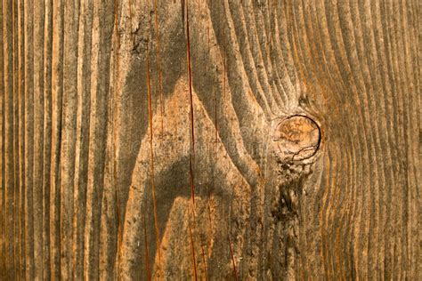 beautiful wood texture stock photo image  dirty board