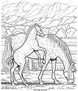 Coloring Horse Pages Friesian Book Color Printable Horses Publications Dover Doverpublications Meadow Drawings Colouring Getcolorings Welcome Adults Wonderful Books Adult sketch template