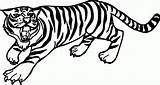 Tiere Malvorlagen Boyama Kaplan Malvorlage Clipartmag Angry Kinderbilder Zeichnung Outlines Tigres Sayfalari Besuchen Siberian sketch template
