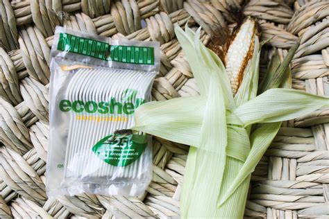 desechables biodegradables ecodisposables green