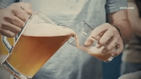 beer gif  beerland find share  giphy