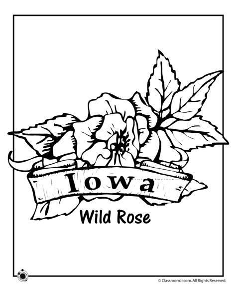 iowa state flower coloring page woo jr kids activities childrens