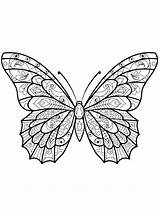 Moeilijk Kleurplaat Vlinders Vlinder Stemmen sketch template