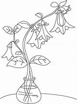 Bellflower Pot Coloring Bestcoloringpages Choose Board sketch template