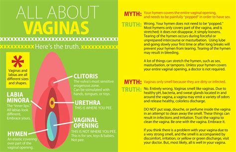 Vaginas All You Need To Know About Sex In One Helpful