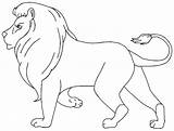 Drawing Carnivore Coloring Pages Getdrawings sketch template