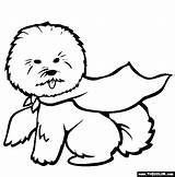 Bichon Coloring Frise Pages Dogs Drawing Getdrawings sketch template