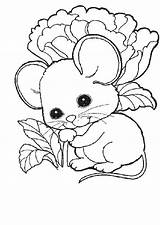 Coloring Mouse Pages Baby Cute Rat Mice Kids Mickey Color Drawing Printable Getcolorings Rod Gnome Plop Getdrawings Popular Comments Blind sketch template