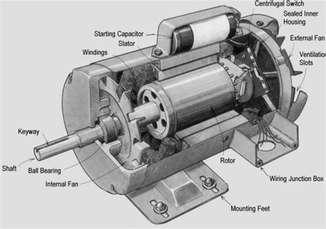 types  induction motor polytechnic hub