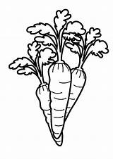 Carrot Coloring Pages Garden Drawing Color Line Healthy Food Getdrawings Place Eyes Good sketch template