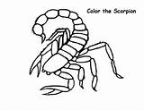 Scorpion Coloring Pages Color Scorpio Print Kids Animals Printable Drawing Kombat Mortal Easy Animal Getdrawings Sheets Getcolorings Lovely sketch template