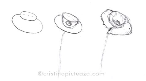 incepatori desene in creion usoare cu flori