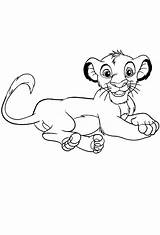 Simba Colorare Leone Leeuwenkoning Walt Drukken Kleuren sketch template