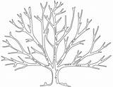 Baum Kahler Ausmalbild Bäume sketch template