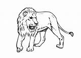 Singa Mewarnai Marimewarnai Cheetah Paud Tk Trending sketch template