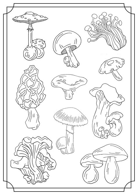 mushrooms single mushrooms kids coloring pages