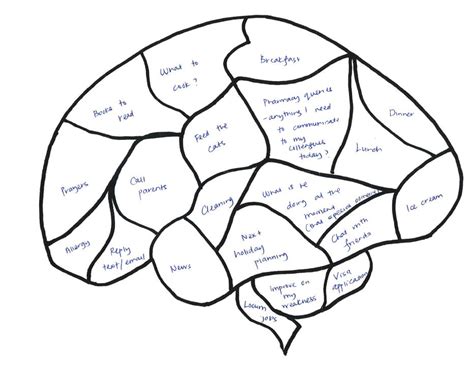 blank brain diagrams clipart