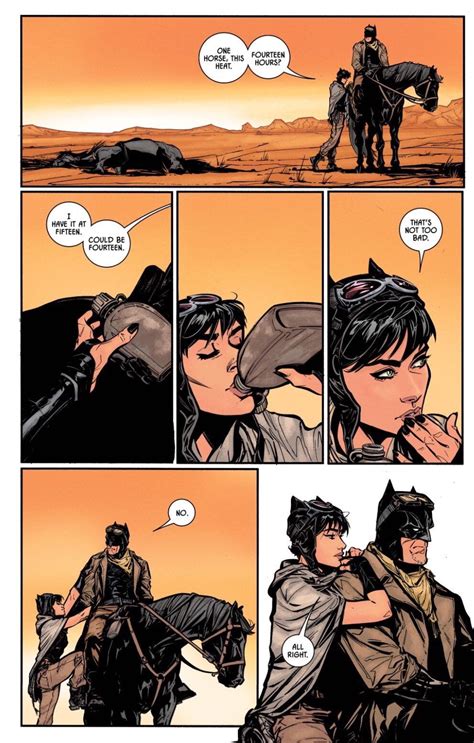 Batcat Catwoman Selina Kyle Batman Bruce Wayne ️