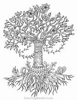 Coloring Tree Pages Life Olive Roots Trunk Adult Adults Drawing Printable Simple Coloringgarden Pecan Color Mandala Book Drawings Celtic Sheet sketch template