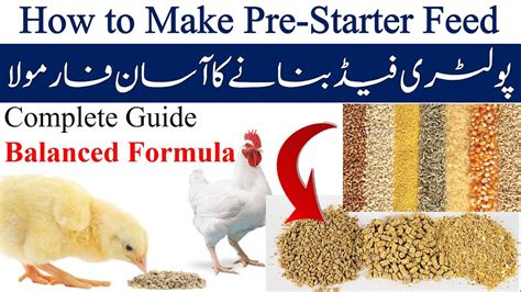 poultry feed  pakistan poultry feed formula  pre