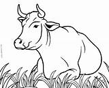 Kuh Ausmalbilder Vaca Cool2bkids Vacas Lembu Cows Koleksi Imprimir Kanak Holstein Kreatif Membuat Mewarna sketch template